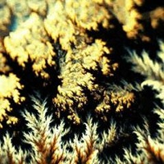 GreenGarnish