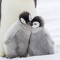PenguinGaming