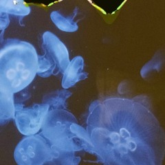 b̰̫̥̠̪͢i̪͉̤͓̳l̖͢l̰̩͎͍͝