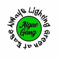 Algae Gang