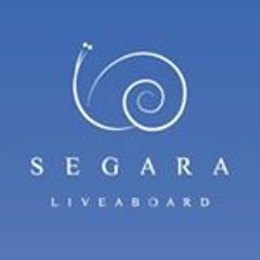 Segaralivaboard