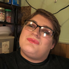 Harley Shafer