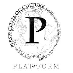 Perspectives On Platform