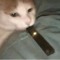 Mango Juul Pod