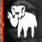 DJ elephant