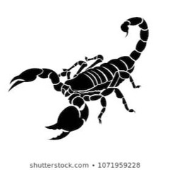 Arsie Doodle Harley-Ulenas