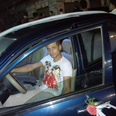 طائر الليل الحزين