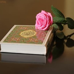 سورة الملك حمزة الفار