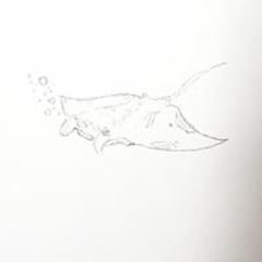 정해동