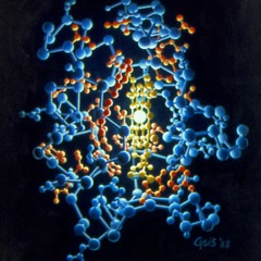 Cytochrome C