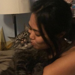 kushkittens