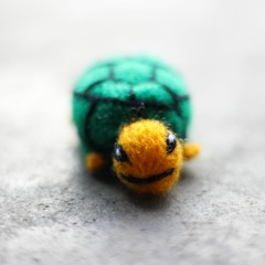 Paco The Tortuga Music