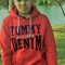 KFL FINNESED