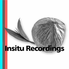 Insitu Recordings