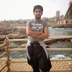 Reza Dashtinejad