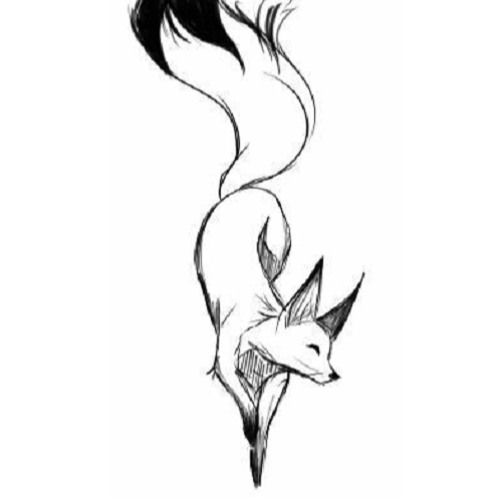 Aard Fox’s avatar