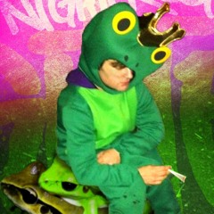 nightfrog