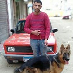 ٠١٠٩٦٦٢٣٨١٢