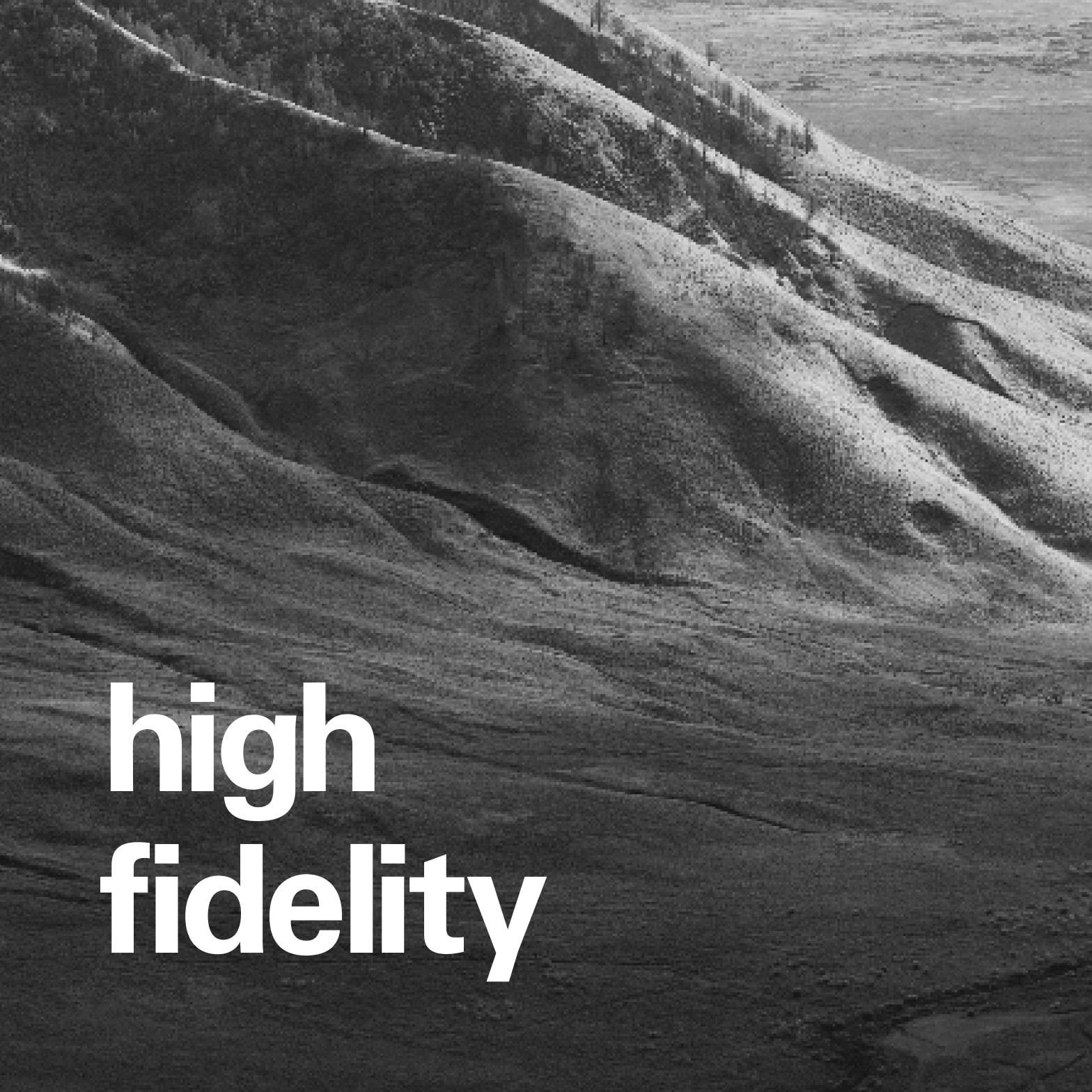 High Fidelity