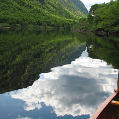 Roro H.
