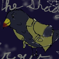 TheShadyCrow