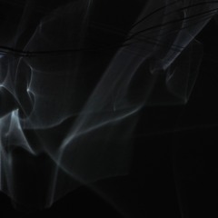 Flowers/Ghosts&Echoes