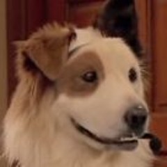 extraordinarybeautifulheaven