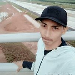 Dedysetia