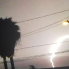 Javier Alexander Pineda