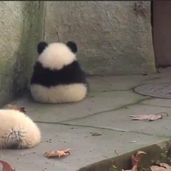 Am