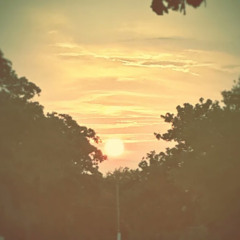 Celeste Gonzalez Benitez