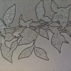 Александр Б.