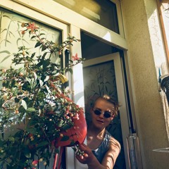 Alexander Baumschubser