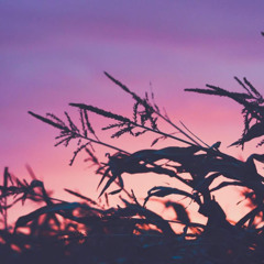 Morountodun Adeseyoju