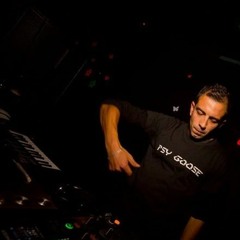 PsyGoose (Official )
