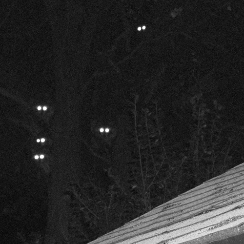 Ki$$ IT B@tt3r (Four Tet X Rhianna Remix)