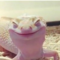Gabethagremlin
