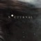 Nocturnal__Boy