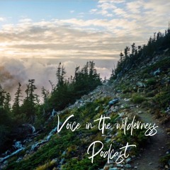 Voiceinthewilderness