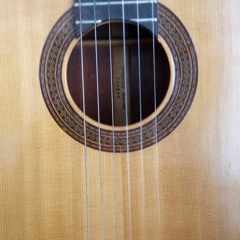 Fred's Guitar