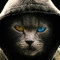 Ian die Katze