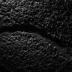 Epiphany and their Trio Vivarium or: E&theirTV