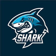 Shark Nation