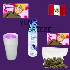 Yung Breeze