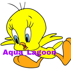 Aqua_ Lagoon Mckinney
