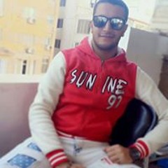 Mohamed H Abo Rokba
