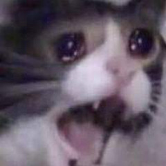 alex the tiniest potatoes