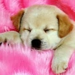 Hugo Alberto Alvarado