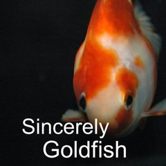 Sincerely Goldfish