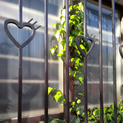 micky-bar-show→I changed name."ちかみguitar"